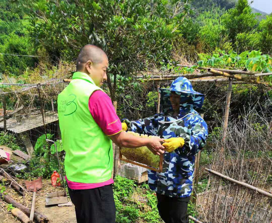 志愿者亲赴永春深山 发现土蜂蜜惊人真相！